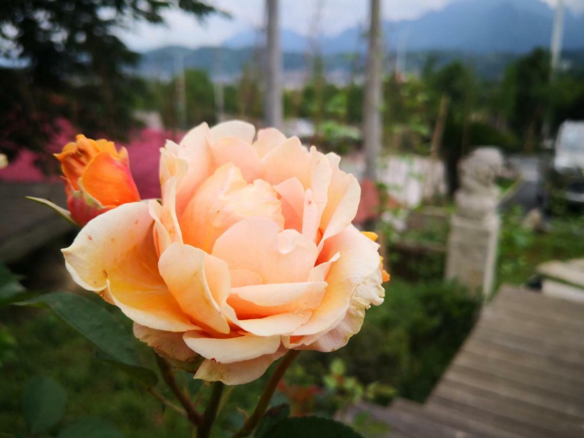 Dao Bian Inn Trương Gia Giới Ngoại thất bức ảnh